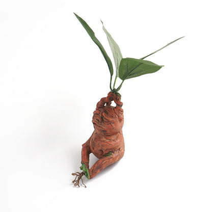 Mandrake Sitting Calmly