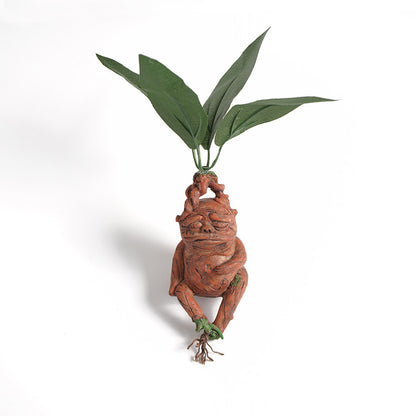 Mandrake Sitting Calmly