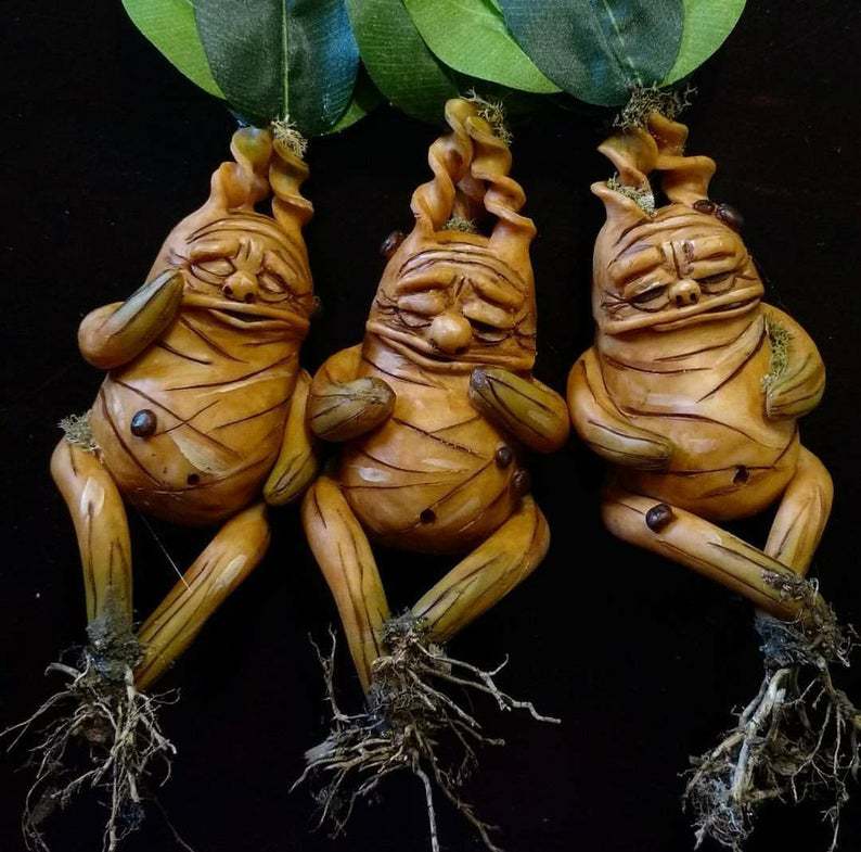 Mandrake Sitting Calmly