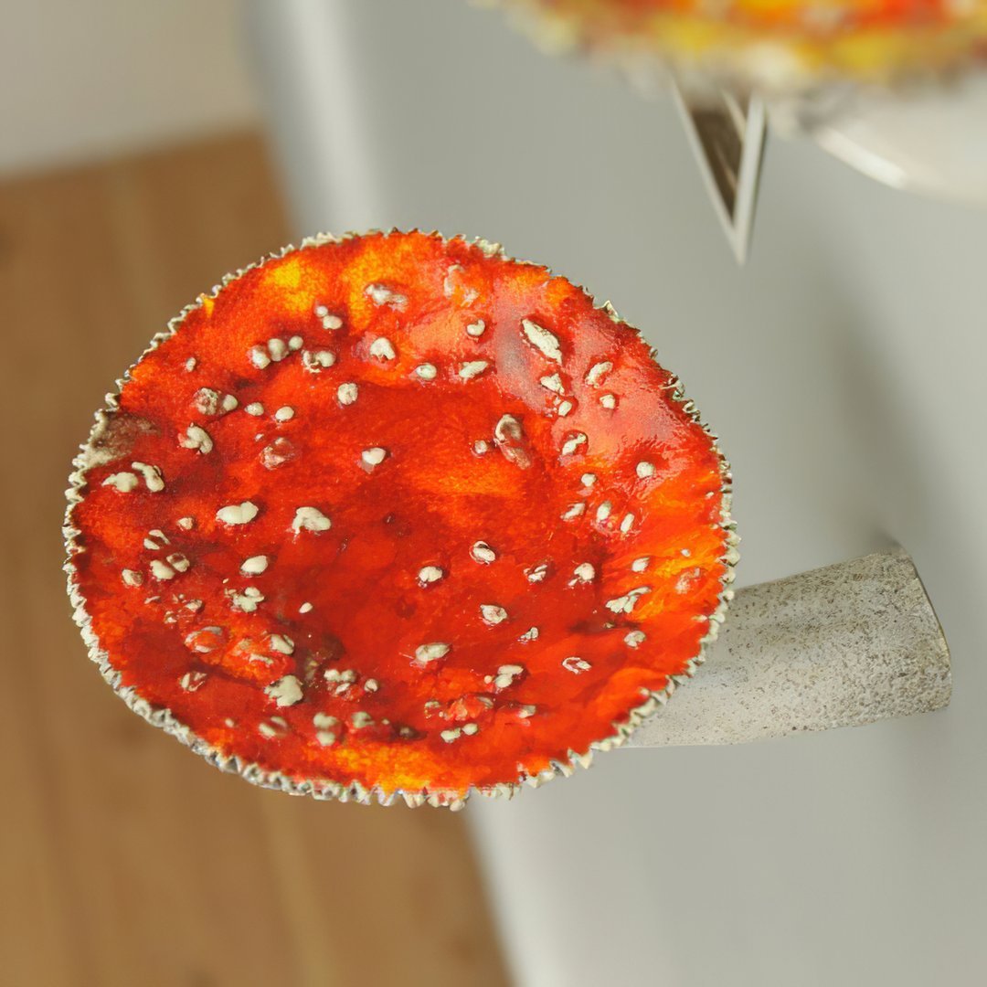 Forest Mushroom Wall Shelves